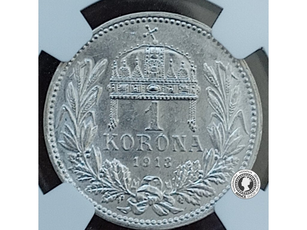 1 korona - Rakúsko-Uhorsko - 1913 - AU 58
